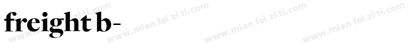 freight b字体转换